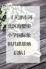 天津市河北区育婴里小学国际象棋共建基地启航